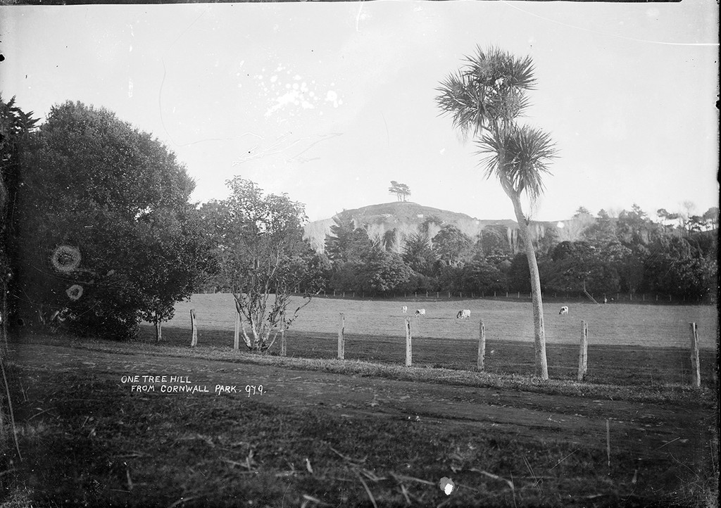 One Tree Hill from Cornwall Park, Auckland. Price, William Archer, 1866-1948: Collection of post card negatives. Ref: 1/2-000772-G. Alexander Turnbull Library, Wellington, New Zealand. http://natlib.govt.nz/records/23239931